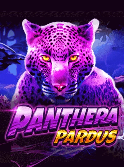 r99us